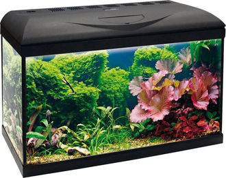 Amtra BASIC LED Aquarium Abdeckleuchte Schwarz 60 – Bild 1 von 2