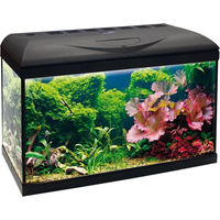 Produktbild von Amtra BASIC LED Aquarium Abdeckleuchte Schwarz 60