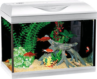 Amtra BASIC LED Aquarium Beleuchtung weiß 40 – Bild 1 von 1