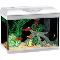 Produktbild von Amtra BASIC LED Aquarium Beleuchtung weiß 40