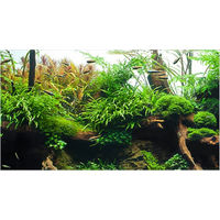 Produktbild von Amtra Fotorückwand Amazonia doppelseitig für Meerwasser-Aquarien 60x30 cm - 60 cm