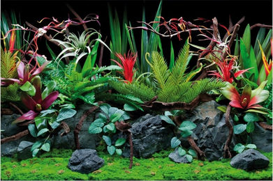 Amtra Fotorückwand Flora für Fischaquarien Bunt 60x30 cm – Bild 1 von 5