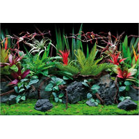 Produktbild von Amtra Fotorückwand Flora für Fischaquarien Bunt 60x30 cm