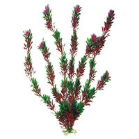 Produktbild von Amtra Kunststoff Aquariumpflanze Bicolour 18 cm