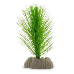 Amtra Kunststoff Aquariumpflanze Blyxa für Fische 12 cm Grün – Bild 1 von 5