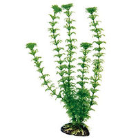 Produktbild von Amtra Kunststoff Aquariumpflanze Cabomba 12cm