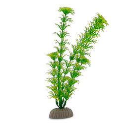 Amtra Kunststoff Aquariumpflanze Cabomba Grün 18cm - 1 Stk. – Bild 1 von 5
