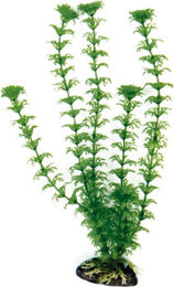 Produktbild von Amtra Kunststoff Aquariumpflanze Cabomba Grün 27cm für Fische