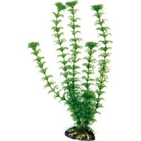 Produktbild von Amtra Kunststoff Aquariumpflanze Cabomba Grün 27cm für Fische