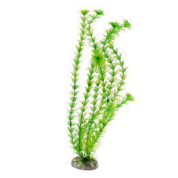 Amtra Kunststoff Aquariumpflanze Cabomba Grün 36 cm – Bild 1 von 4