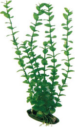 Produktbild von Amtra Kunststoff Aquariumpflanze Rotala 12cm für Fische