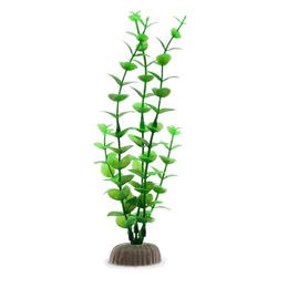 Amtra Kunststoff Aquariumpflanze Rotala für Fische 18 cm – Bild 1 von 5