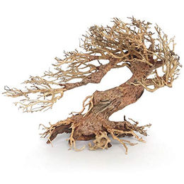 Amtra Oriental Wind 3 Wurzel aus Holz für Süßwasser Aquarien für Fische und Garnelen 30X13X23 cm – Bild 1 von 3
