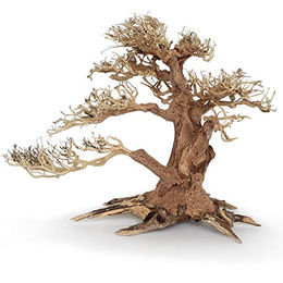 Amtra Oriental Wind 4 Wurzel aus Holz für Süßwasser Aquarien mit Fischen und Garnelen 30X13X23 cm – Bild 1 von 3