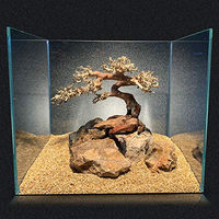 Produktbild von Amtra Oriental Wind 5 Wurzel für Süßwasser Aquarien mit Fischen und Garnelen 30x10x20 cm