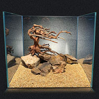 Produktbild von Amtra Oriental Wind 6 Wurzel für Aquarien aus Holz 30x13x23 cm