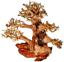 Amtra Oriental Wind Wood 4 Bonsaiholz Dekoration für Süßwasseraquarium 23x10x17 cm – Bild 1 von 4