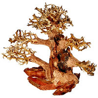 Produktbild von Amtra Oriental Wind Wood 4 Bonsaiholz Dekoration für Süßwasseraquarium 23x10x17 cm