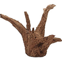Produktbild von Amtra Thai Orchid Holz Wurzel für Süßwasserfische Natur Braun M