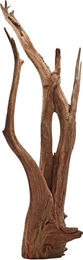 Amtra Thai Orchid Slim Holz Wurzel Natur Braun 1 Stück – Bild 1 von 1