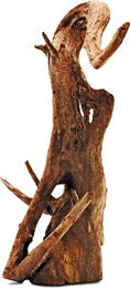 Produktbild von Amtra Thai Orchid Wurzel Holz Natur Braun S