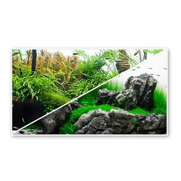 Amtra Wave A8011597 Fotorückwand Amazonia doppelseitig für Aquarien 45 x 100 cm – Bild 1 von 6