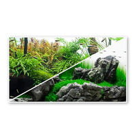 Produktbild von Amtra Wave A8011597 Fotorückwand Amazonia doppelseitig für Aquarien 45 x 100 cm