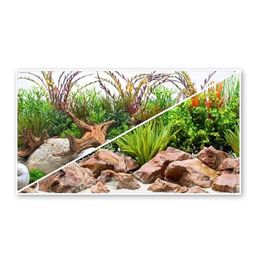 Amtra Wave Fotorückwand River für Aquarien 45 x 100 cm doppelseitig bunt - 1 Stk. – Bild 1 von 5