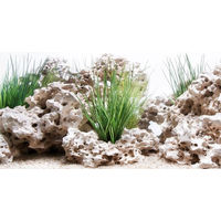 Produktbild von Amtra Wonder Aquarium Fotorückwand aus Kunststoff mit Doppeldruck 100x45 cm bunt - 1 Stk.