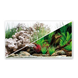 AMTRA Wonder Aquarium-Poster Hintergrund Bunt 60 x 150 cm – Bild 1 von 6
