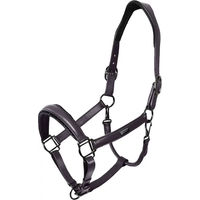 Produktbild von Anatomisch geformtes Lederhalfter für Pferde von Equestrian Stockholm in Schwarz oder Lila Größe M