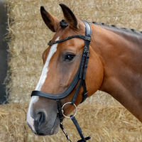 Produktbild von Anatomische Leder-Reittrense für Pferde von Harry's Horse in Schwarz