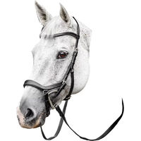 Produktbild von Anatomische Reitkandare Horseware Micklem aus Leder in Schwarz für Vollblut