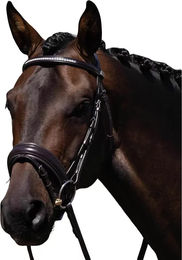 Produktbild von Anatomischer Sattelgurt Premier Equine Castello aus Leder in Braun für Vollblut