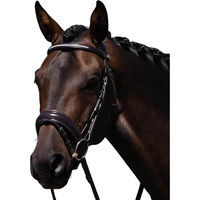Produktbild von Anatomischer Sattelgurt Premier Equine Castello aus Leder in Braun für Vollblut