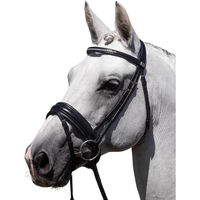 Produktbild von Anatomischer Sattelgurt Premier Equine Castello aus Leder in Schwarz
