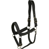 Produktbild von Anatomisches Halfter HorseGuard für Ponys aus Nylon in Schwarz