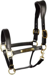 Anatomisches Lederhalfter Harry's Horse für Pferde in Schwarz mit Goldbeschlägen – Bild 1 von 1