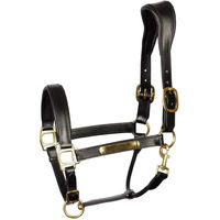 Produktbild von Anatomisches Lederhalfter Harry's Horse in Schwarz und Gold