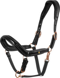 Produktbild von Anatomisches Lederhalfter mit Beschlägen für Ponys von Equestro in Schwarz