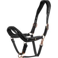 Produktbild von Anatomisches Lederhalfter mit Beschlägen für Ponys von Equestro in Schwarz