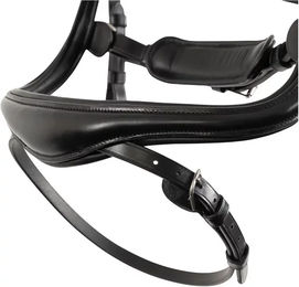 Anatomisches Reitkomplettzeug BR Equitation aus Leder für Vollblut in Braun oder Schwarz – Bild 1 von 1