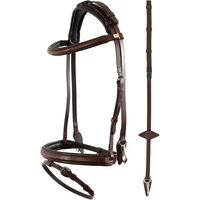 Produktbild von Anatomisches Reitkomplettzeug BR Equitation Seaford aus Leder in Braun für Vollblut