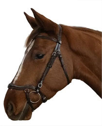 Produktbild von Anatomisches Reitpferd Zaumzeug Canter Cayman Braun für Ponys