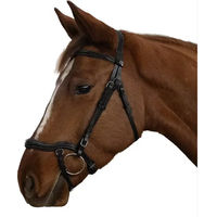 Produktbild von Anatomisches Reitpferd Zaumzeug Canter Cayman Schwarz Full