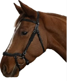 Produktbild von Anatomisches Reitpferd Zaumzeug Canter Cayman Schwarz für Pony
