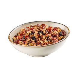 AniCanis Bio Beeren & Früchte Mix für Hunde zur Unterstützung von Verdauung und Immunsystem – Bild 1 von 3