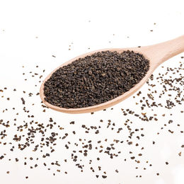 AniCanis Seealgenmehl Nahrungsergänzung für Hunde und Katzen zur Unterstützung von Haut und Fell, vegan, 200g – Bild 1 von 2