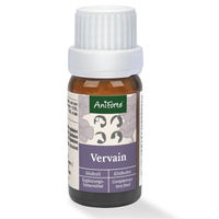 Produktbild von AniForte Bachblüten No. 31 Vervain Globuli zur Beruhigung 15 g - 15 g