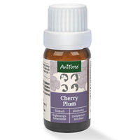Produktbild von AniForte Bachblüten No. 6 Cherry Plum Globuli zur Beruhigung für Hunde, Katzen und Haustiere 15 g - 15 g